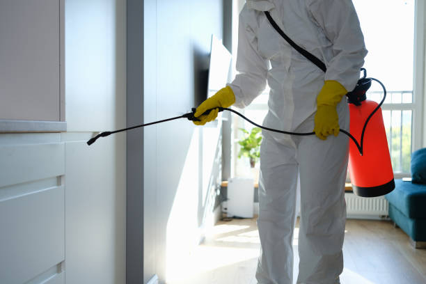 Woodward, IA Mold Remediation Company
